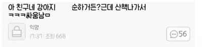 친구네 강아지 순한데 산책나가서 ㅆ움남ㅋㅋㅋㅋㅋㅋ