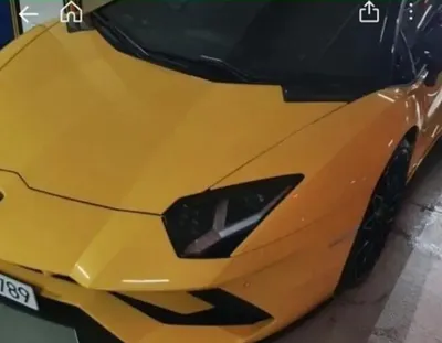 당근에 올라온 100ㅁ,언 짜리 람보르기니