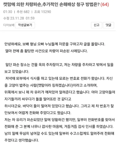 고양이 밥주다 자동차 부신 올타임 레전드 캣맘 ㄷㄷㄷㄷ