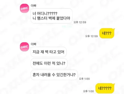 갑자기 햄스터가 벽을 탄다...ㄷㄷㄷㄷ